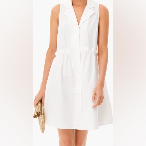 Tuckernuck Dresses & Skirts - Tuckernuck Oxford White Sleeveless Royal Shirt Dress
